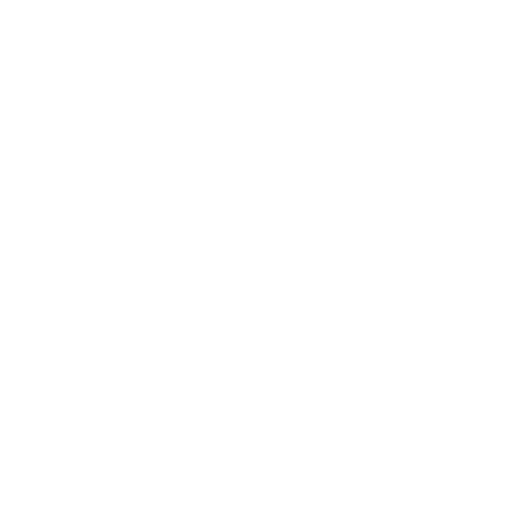 Kawasaki Logo