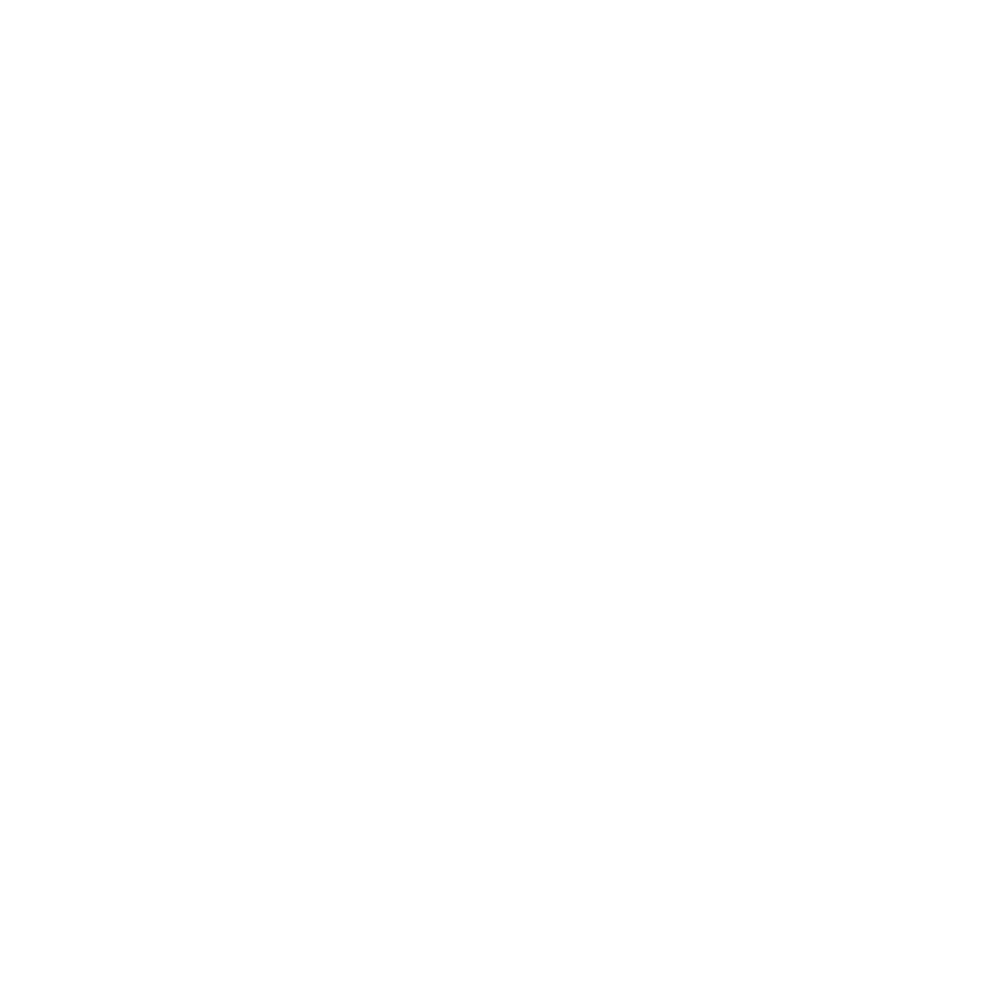 KTM Logo