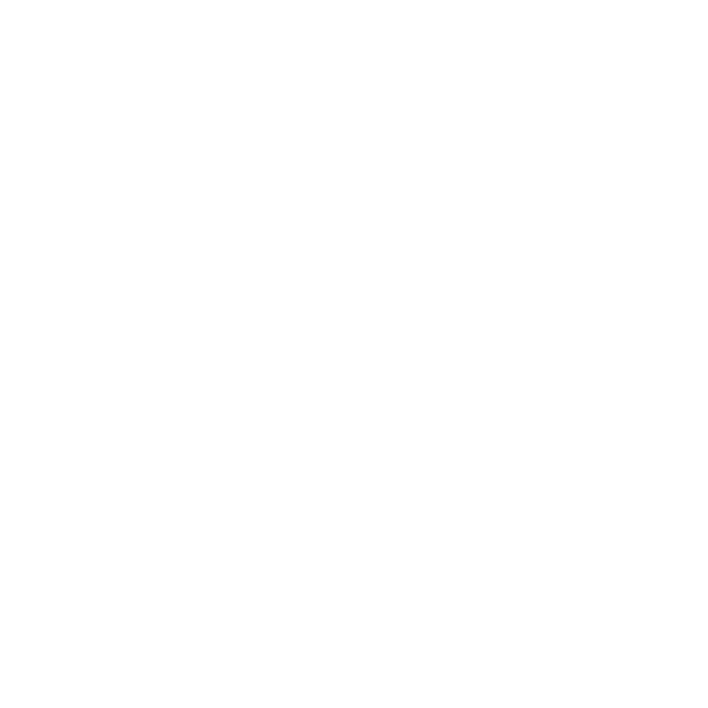 Oset Logo