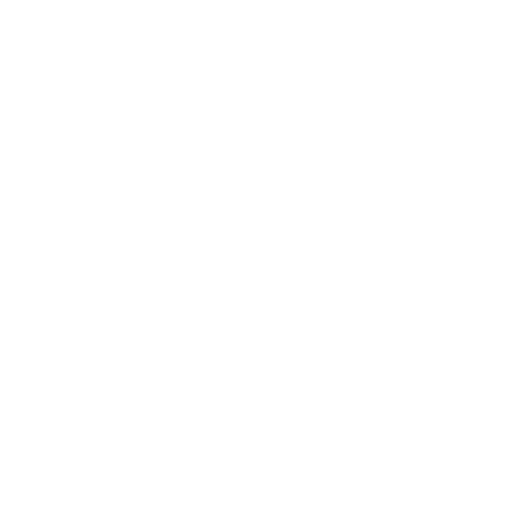 Suzuki Logo