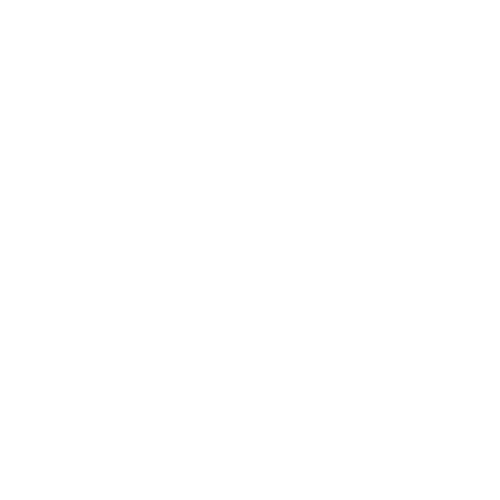 Triumph Graphics